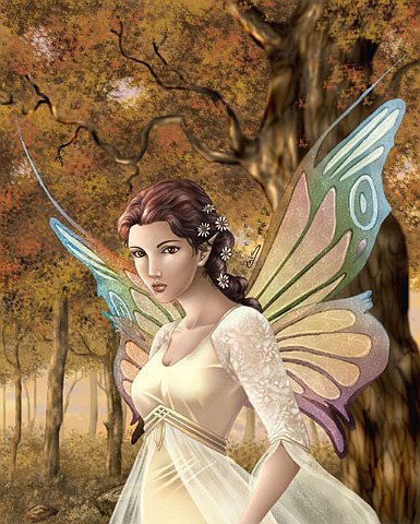 Fantasy (481)